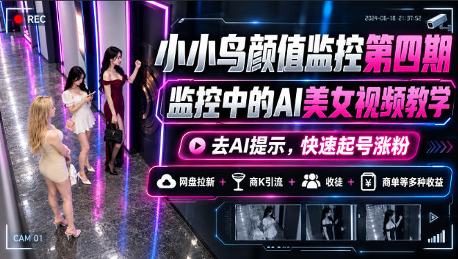 小小鸟颜值监控第四期，监控中的AI美女视频教学，去AI提示，快速起号涨粉，网盘拉新+商K引流+收徒+商单等多种收益-第一资源库