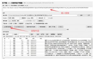 抖音批量视频下载工具，一键下载高清无水印视频，到手就能用-第一资源库