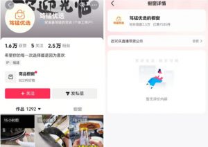 无需实拍也能做好抖音车载带货项目,收益非常稳定,每天坚持发就可以!-第一资源库